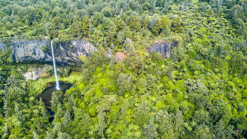 Beautiful waterfall in the middle of native forest. North Island, New Zealand.