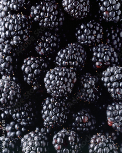 Close up of freshly picked boysenberries photo