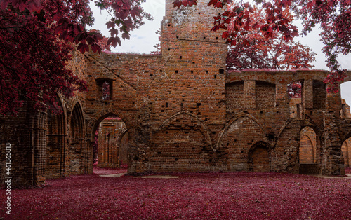Autumn ruins
