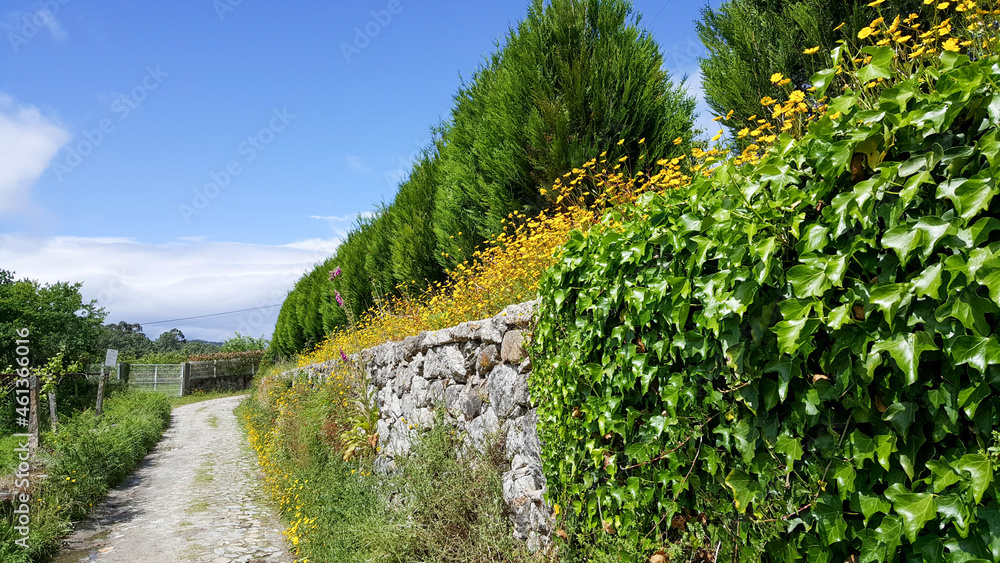 grass and wall