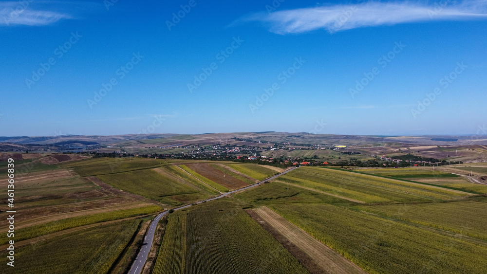 Road on Fields Aerial View