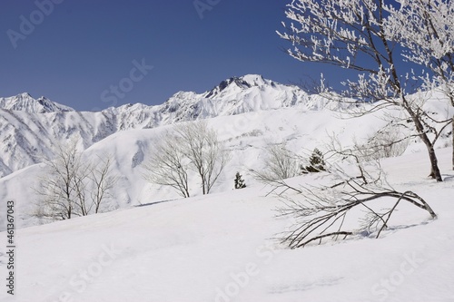 Wallpaper Mural 白馬八方尾根から望む白馬の峰々 Torontodigital.ca