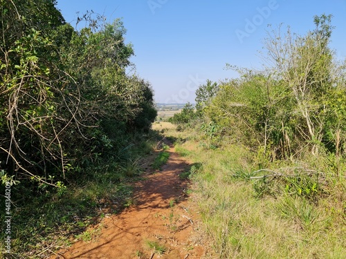 fazenda para pecuária © Gilson Mekelburg