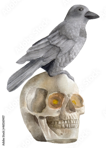 Watercolor Skull, Isolated on white background