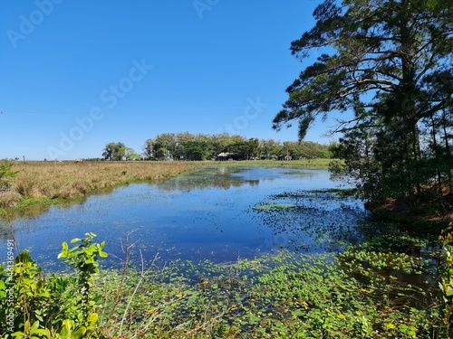 campo, lagoa, lazer, água, açude