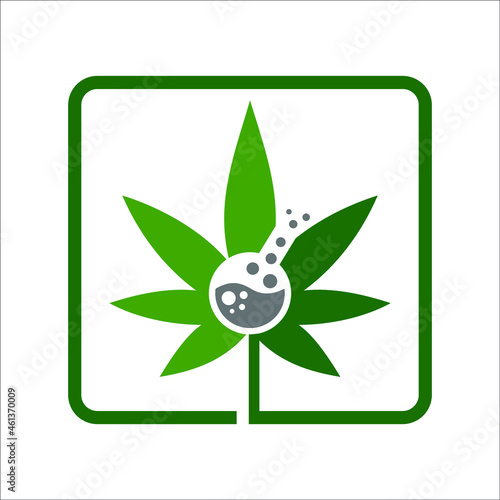 cannabis or marijuana with glass lab in the middle