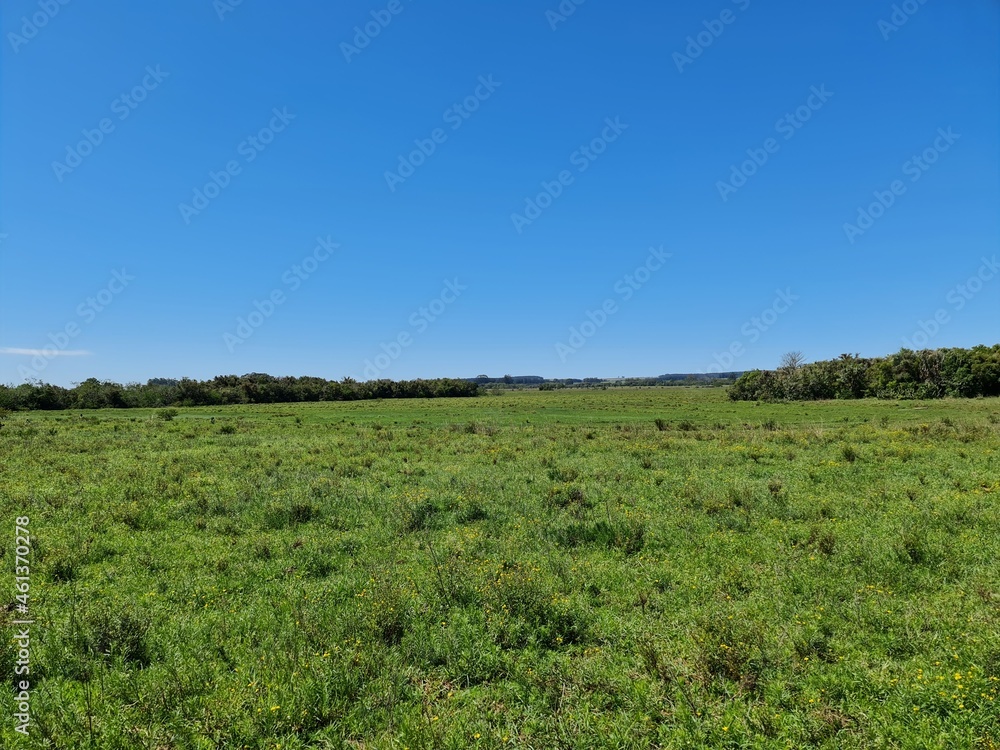 campo para pecuária campo para pecuária