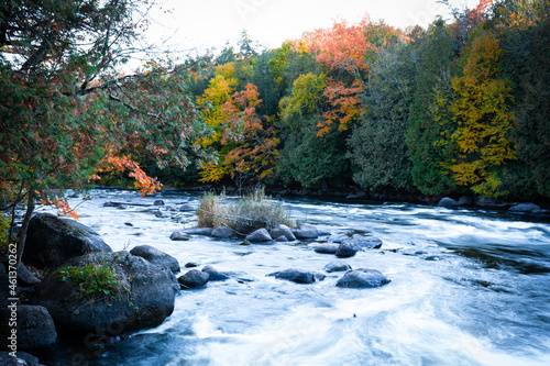 Wolf River