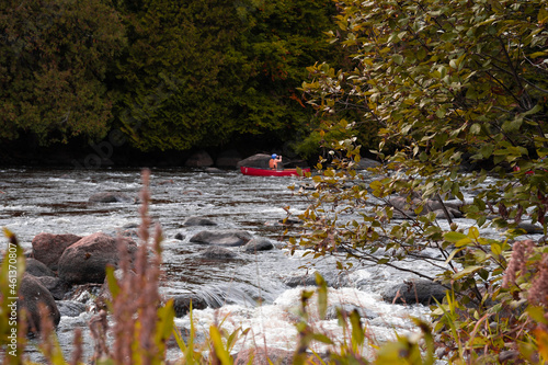 Wolf River