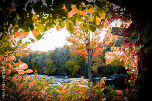 River