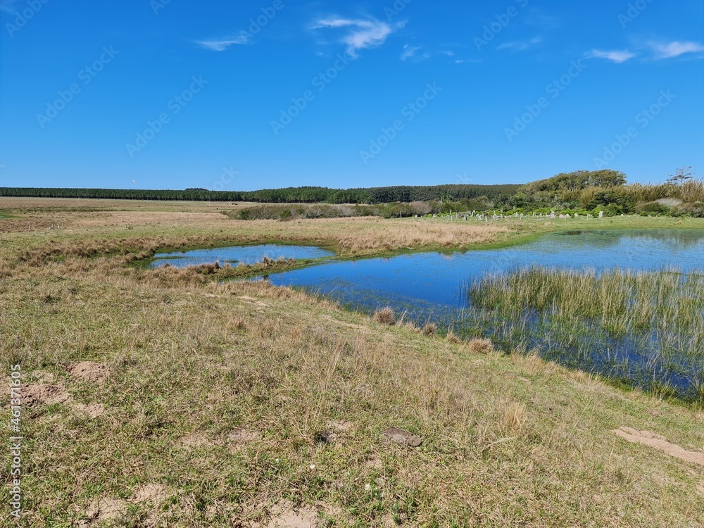 lagoa, açude, água, represa, fazenda, gado, campo, agronegócio lagoa, açude, água, represa, fazenda, gado, campo, agronegócio