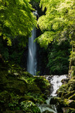 Gorgeous waterfall immerse in green forest with its serene atmosphere, river flowing over rocks. Japan.