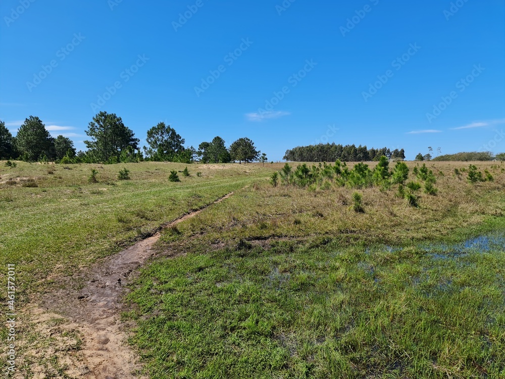 fazenda pecuária