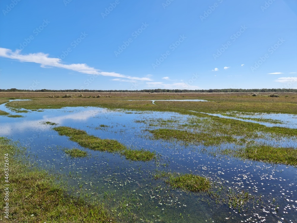 água cristalina, fazenda, pecuária