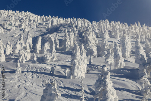 winter mountain landscape
