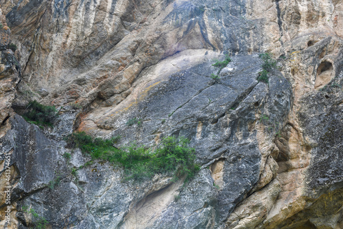 Texture of sheer rock with some green vegetation