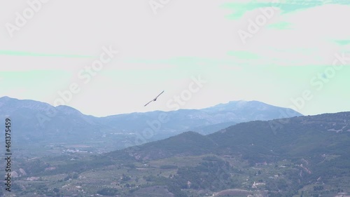 Vulture circling high above a city in Alcoi mountains,Valencia,Spain. photo