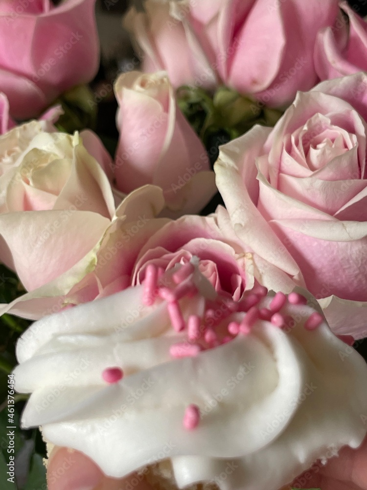 pink roses pink roses