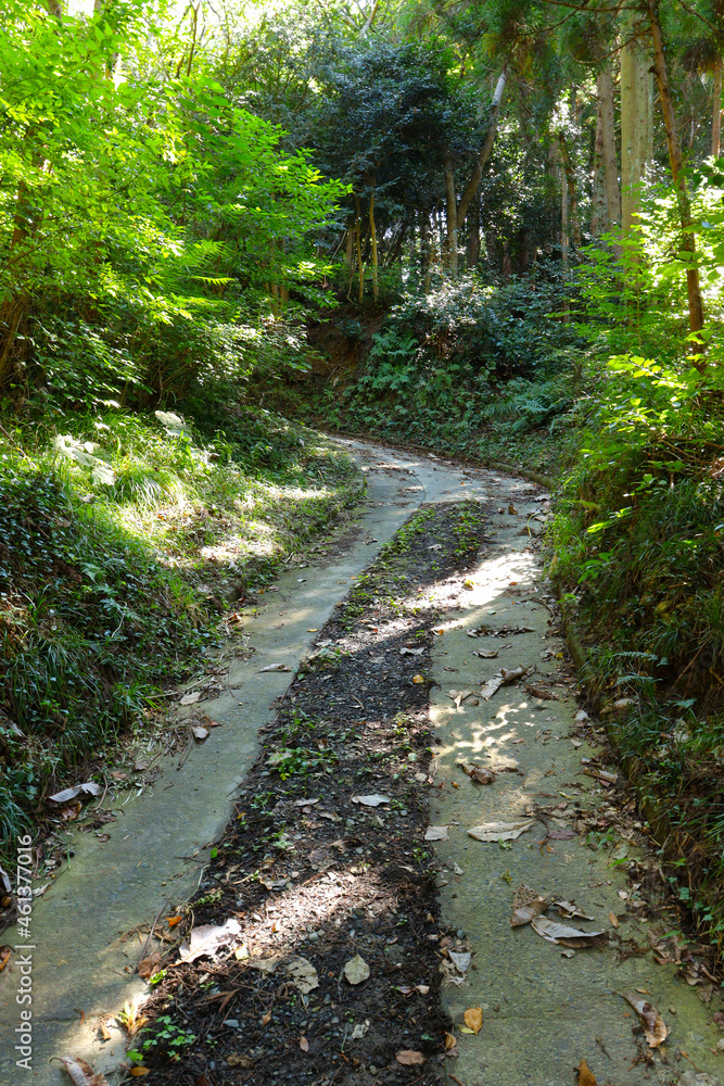 雑木林の緑が美しい森の中の急な坂道。日本宮城県東松島市宮戸にある嵯峨渓遊歩道、大浜海岸から乙女ヶ浜への道。 雑木林の緑が美しい森の中の急な坂道。日本宮城県東松島市宮戸にある嵯峨渓遊歩道、大浜海岸から乙女ヶ浜への道。
