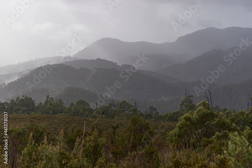 After a cloudburst in the Tarkine Ranges  northwestern part of Tasmania  Australia.