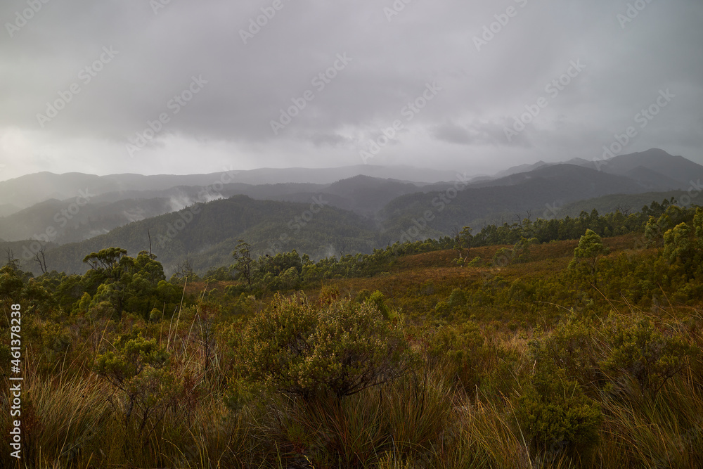 After a cloudburst in the Tarkine Ranges, northwestern part of Tasmania, Australia.