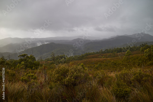 After a cloudburst in the Tarkine Ranges, northwestern part of Tasmania, Australia. © Rex Ellacott
