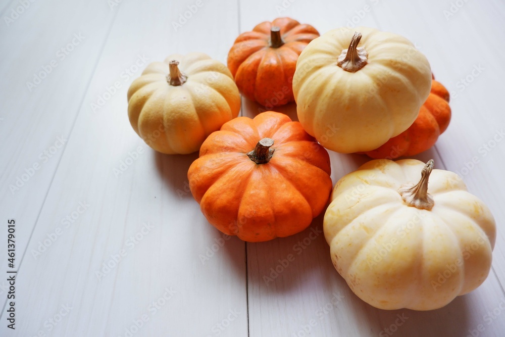 Mini pumpkins composition background for design. Mini pumpkin decoration. Halloween, Harvest, Autumn concept background. Mini pumpkins composition background for design. Mini pumpkin decoration. Halloween, Harvest, Autumn concept background.