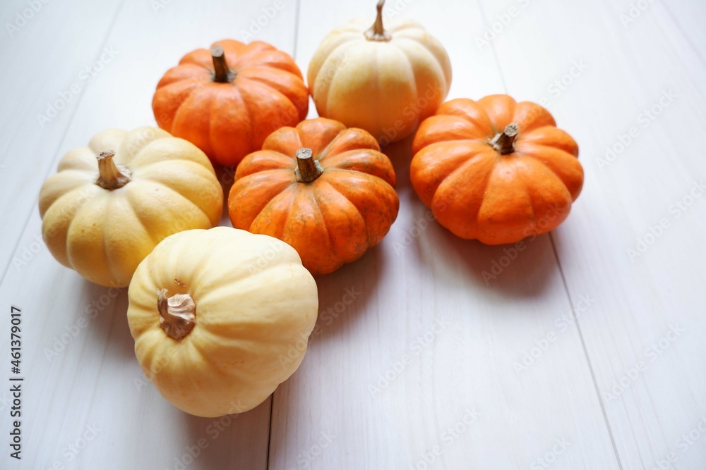 Mini pumpkins composition background for design. Mini pumpkin decoration. Halloween, Harvest, Autumn concept background. Mini pumpkins composition background for design. Mini pumpkin decoration. Halloween, Harvest, Autumn concept background.