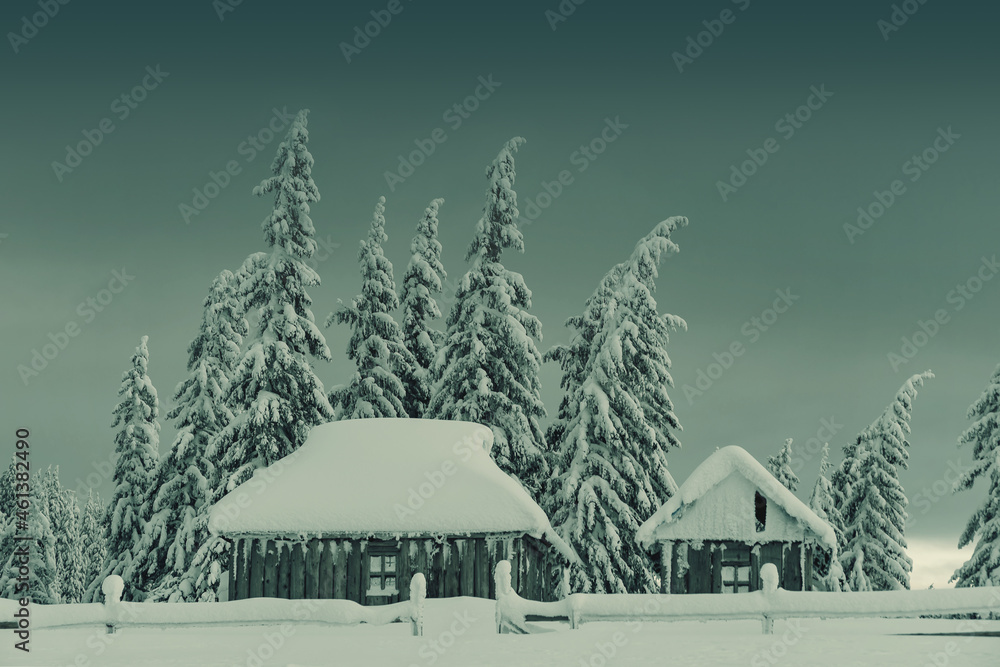 Obraz premium Winter landscape with small old house