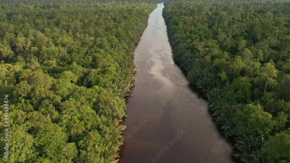 Beautiful natural scenery of river in southeast Asia tropical green forest, drone aerial view Beautiful natural scenery of river in southeast Asia tropical green forest, drone aerial view