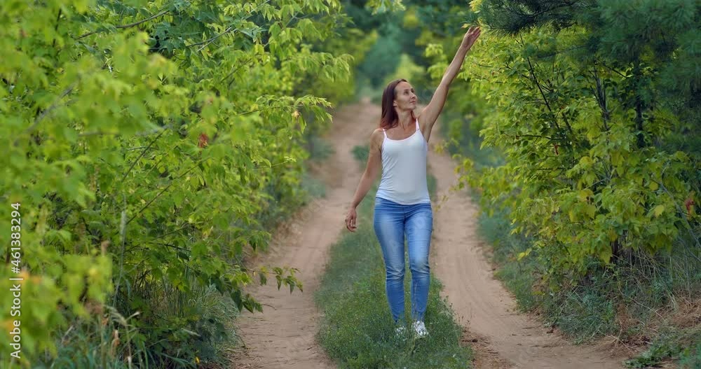 Young woman is walking along a path in the forest, enjoying nature. Pretty woman in jeans touches the branches of trees and smiles, she is happy. Beautiful forest landscape, green trees. 4k, ProRes Young woman is walking along a path in the forest, enjoying nature. Pretty woman in jeans touches the branches of trees and smiles, she is happy. Beautiful forest landscape, green trees. 4k, ProRes
