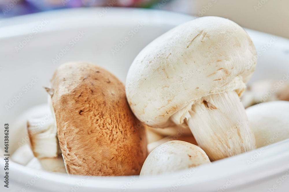 Porcini mushrooms and champignons are in plate ready for cutting Porcini mushrooms and champignons are in plate ready for cutting