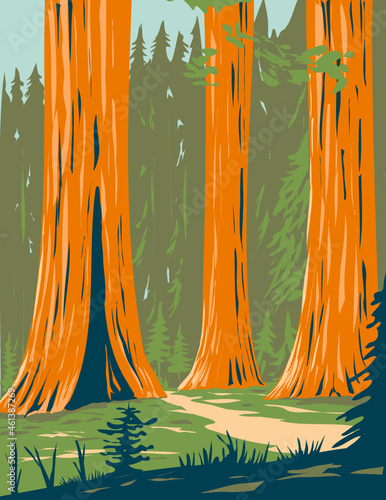 WPA poster art of Mariposa Grove of giant sequoia in the southernmost part of Yosemite National Park near Wawona, California, United States USA done in works project administration style.