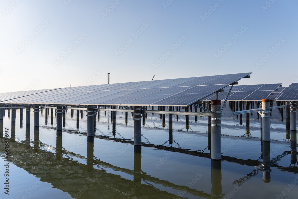 rows of solar panels on the fishpond rows of solar panels on the fishpond