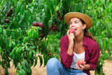 Young lady eating juicy peach while sitting amongst trees in plantation.