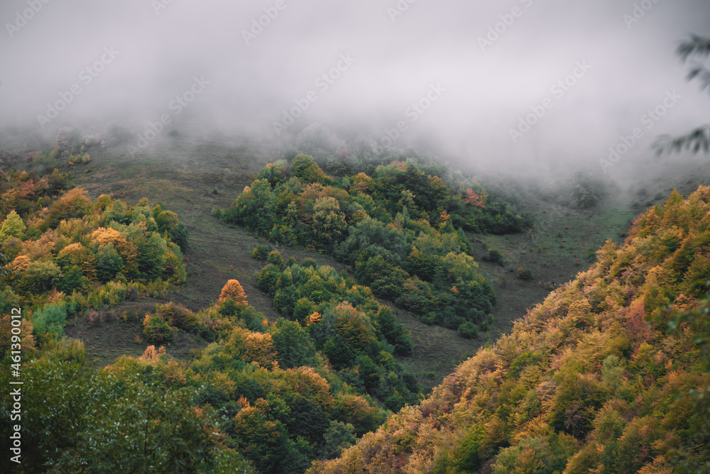 Fog and autumn forest in the mountains
