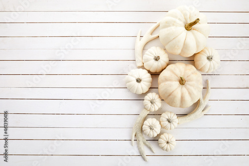 Fresh ripe pumpkins on white wooden background. Flat lay. Top view