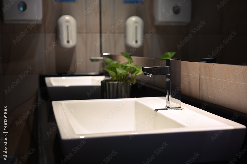 Fototapeta premium Modern bathroom interior with sink with plants and soap dispenser.