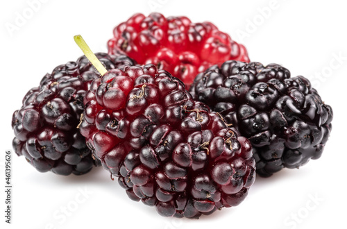 Ripe black mulberries fruits isolated on white background.