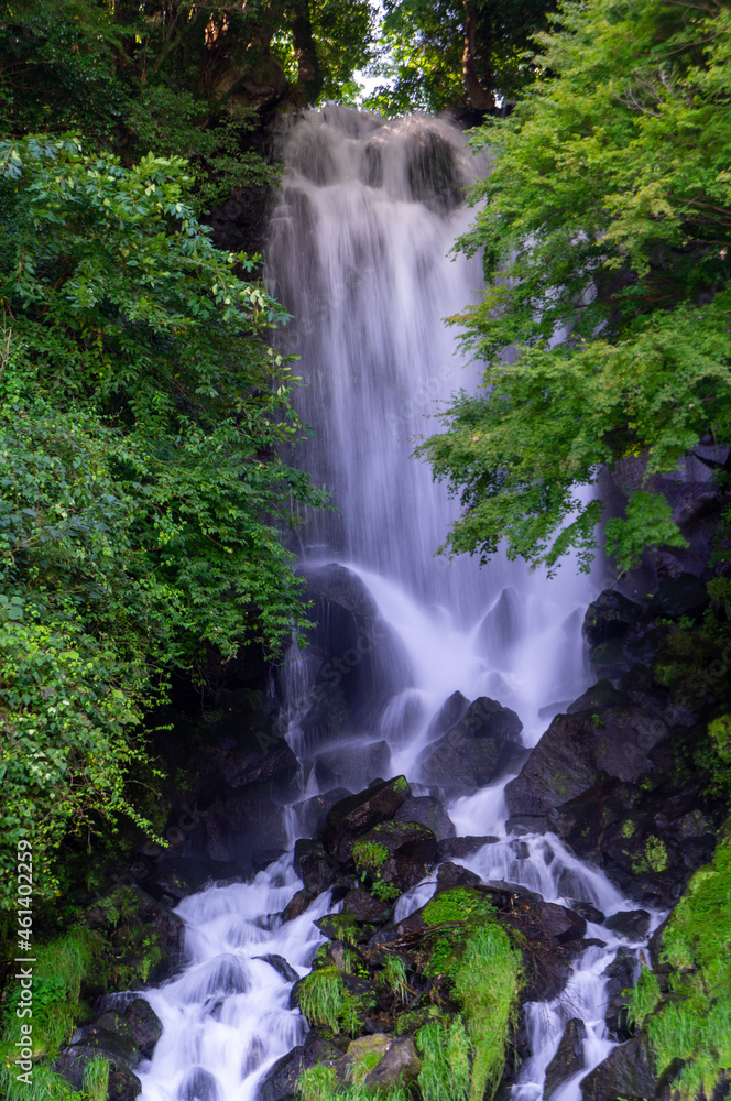 Obraz premium 静岡県富士宮市の朝日滝