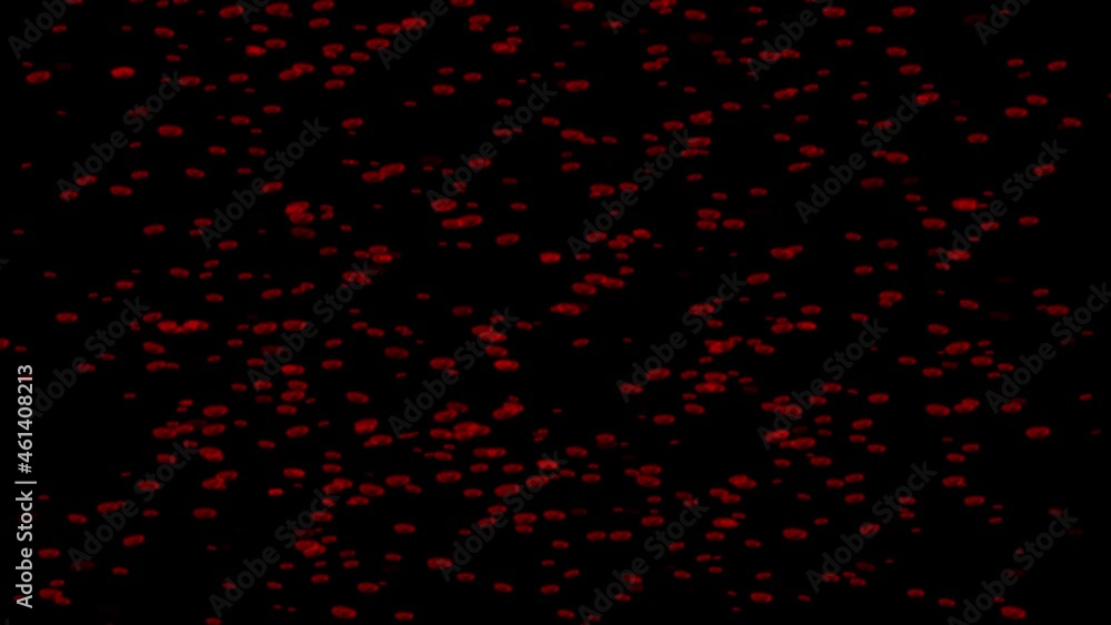 Moving cells motion graphics with night background Moving cells motion graphics with night background