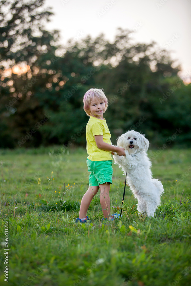 Cute preschool child, blond boy with pink stripes in his hair, taking pictures with his cute maltese dog in the park Cute preschool child, blond boy with pink stripes in his hair, taking pictures with his cute maltese dog in the park