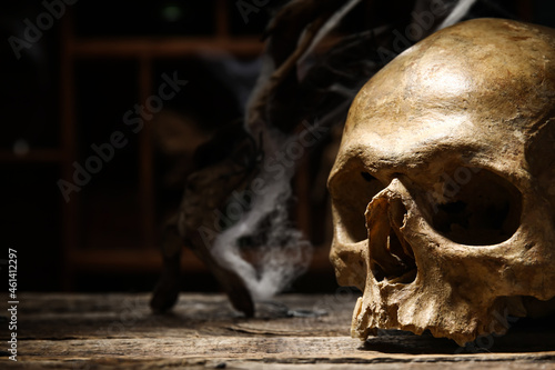 Human skull on table in alchemist's laboratory © Pixel-Shot