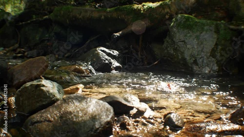 River running through forest and mountain in Japan. photo