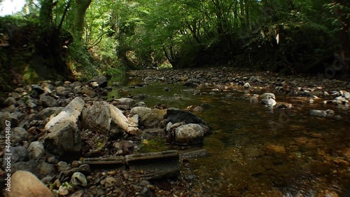 River running through forest and mountain in Japan. photo