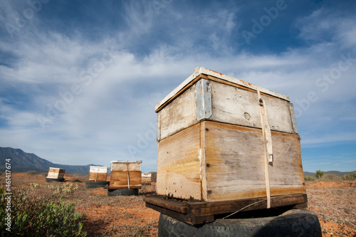 Beehives being used for pollination of vegetables and fruit crops in the Nuy VAlley in the Breede River area of the Western Cape, South Africa. photo