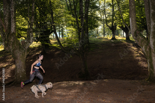 Fotografie young woman running through the woods with a dog on a canicross training