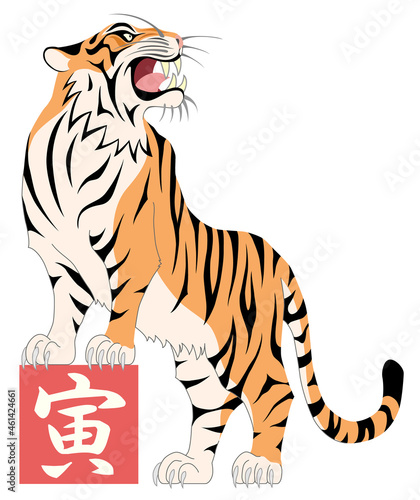虎　寅　トラ　白背景
