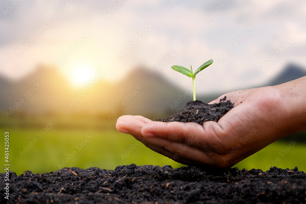 Renewable Resources Soil