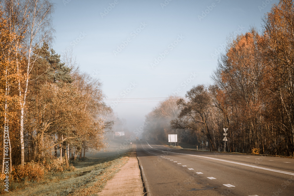 Asphalt intercity road going into the foggy autumn morning, with trees along it. Hitchhike travel Asphalt intercity road going into the foggy autumn morning, with trees along it. Hitchhike travel